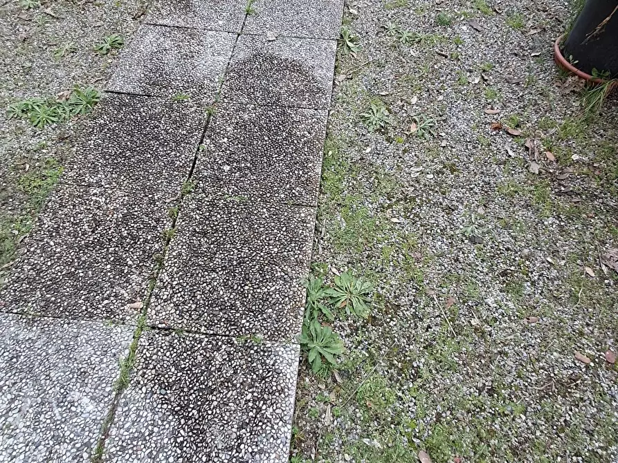 Immagine 20 di Terratetto in vendita  a Crespina Lorenzana