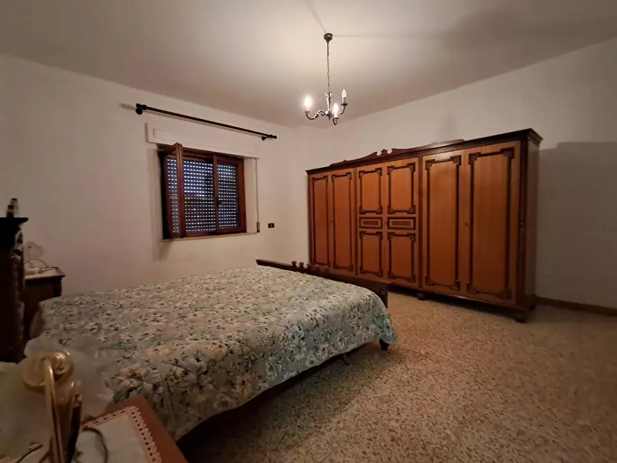 Immagine 15 di Terratetto in vendita  a Crespina Lorenzana