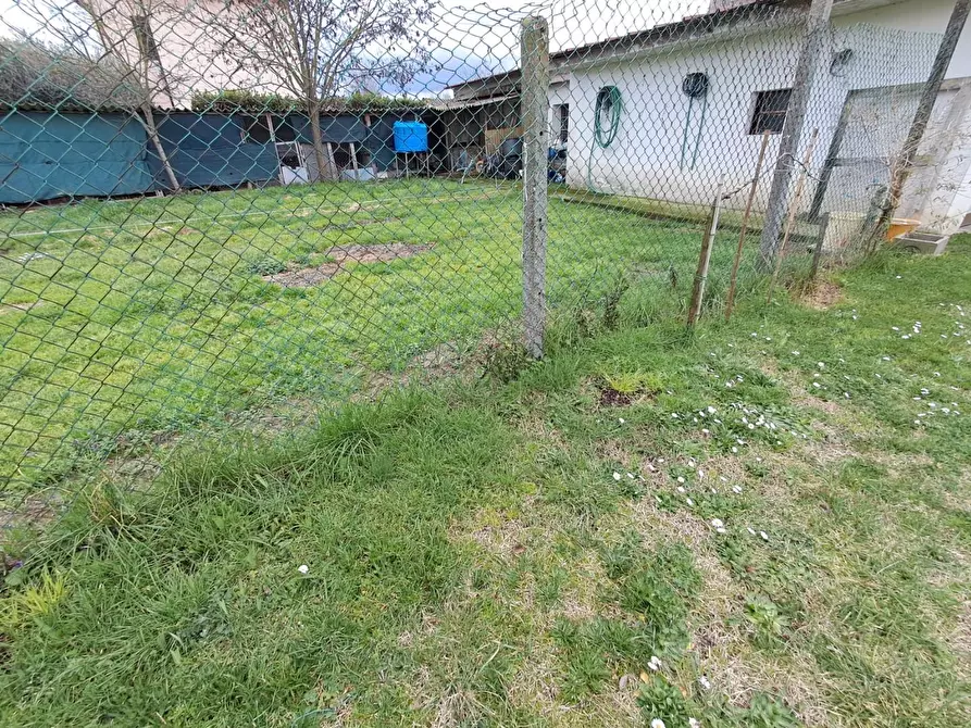 Immagine 27 di Terratetto in vendita  a Crespina Lorenzana