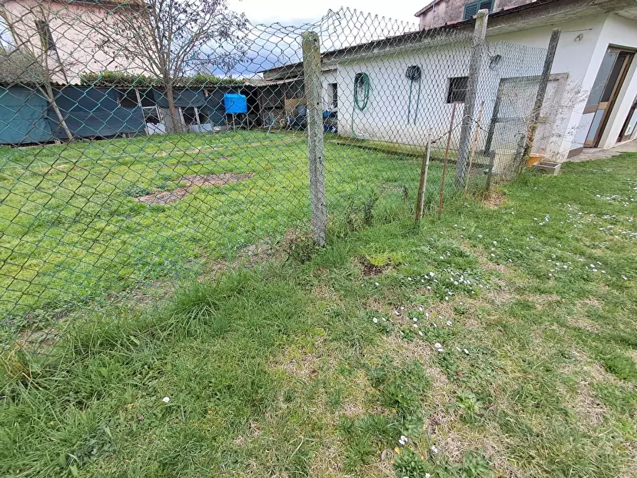 Immagine 35 di Terratetto in vendita  a Crespina Lorenzana