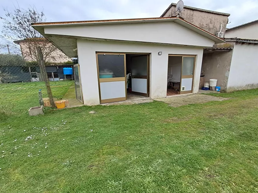 Immagine 32 di Terratetto in vendita  a Crespina Lorenzana