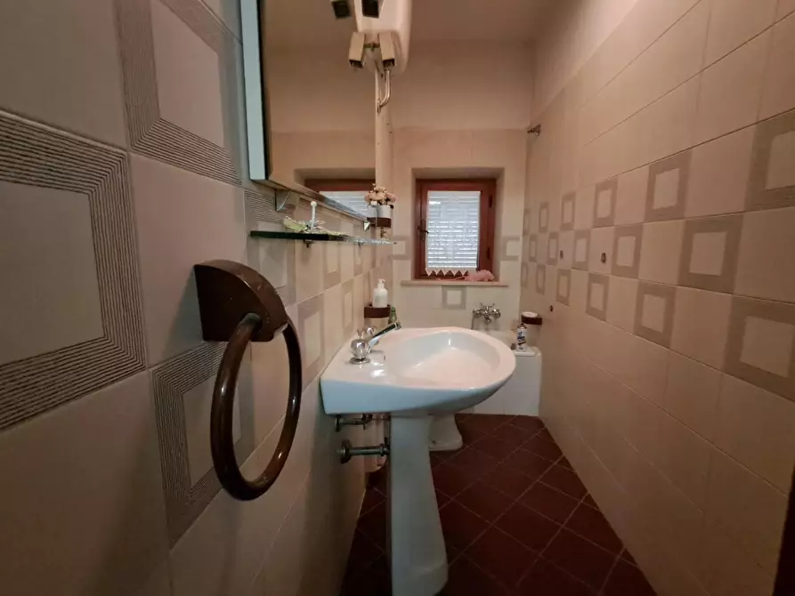 Immagine 44 di Terratetto in vendita  a Crespina Lorenzana