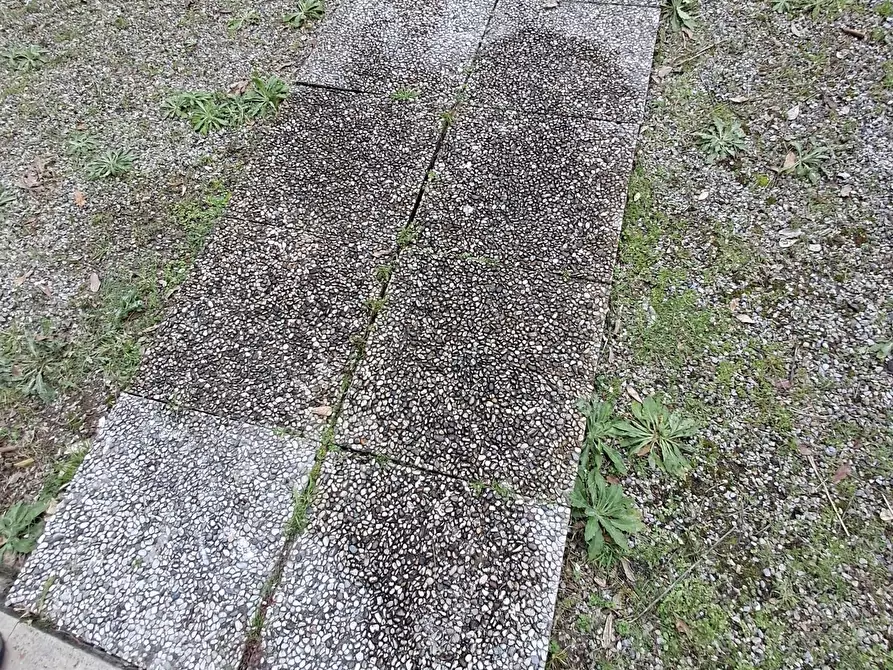 Immagine 21 di Terratetto in vendita  a Crespina Lorenzana