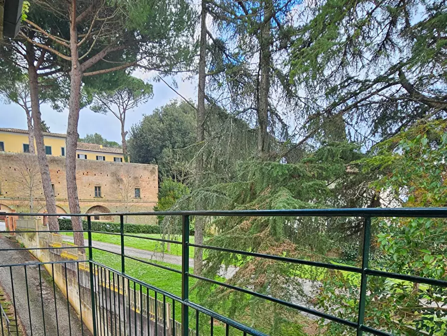 Immagine 22 di Appartamento in affitto  a Crespina Lorenzana