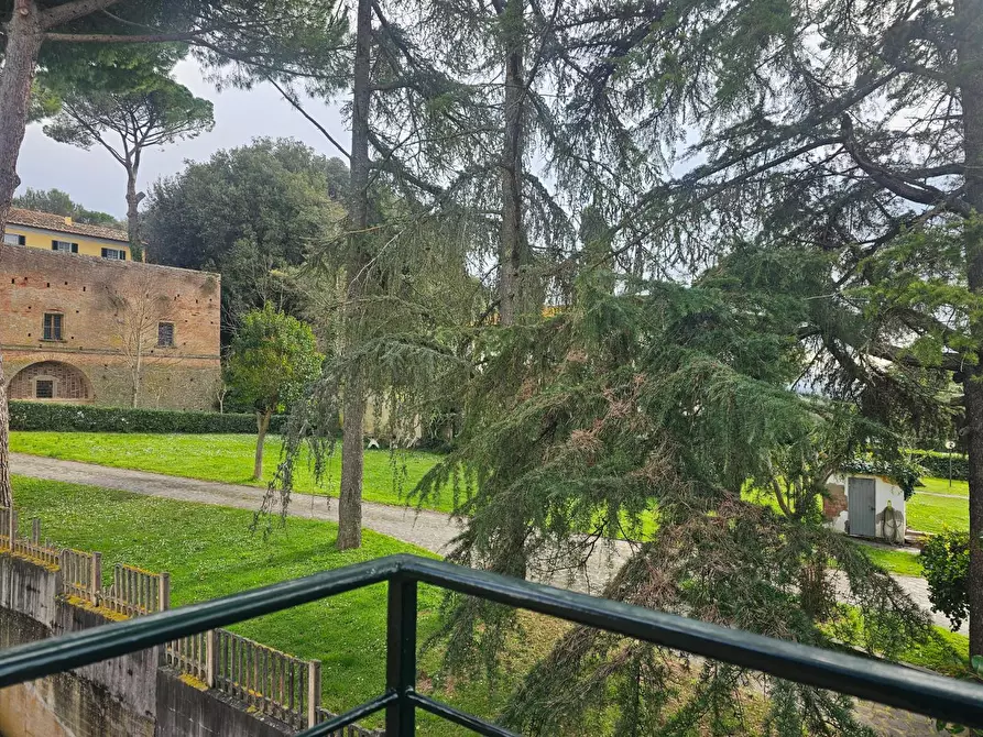Immagine 24 di Appartamento in affitto  a Crespina Lorenzana