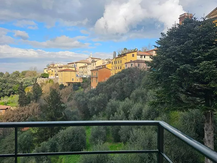 Immagine 21 di Appartamento in affitto  a Crespina Lorenzana