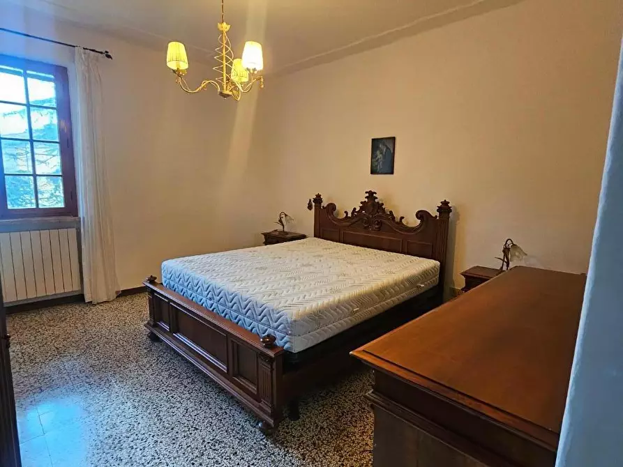 Immagine 14 di Appartamento in affitto  a Crespina Lorenzana