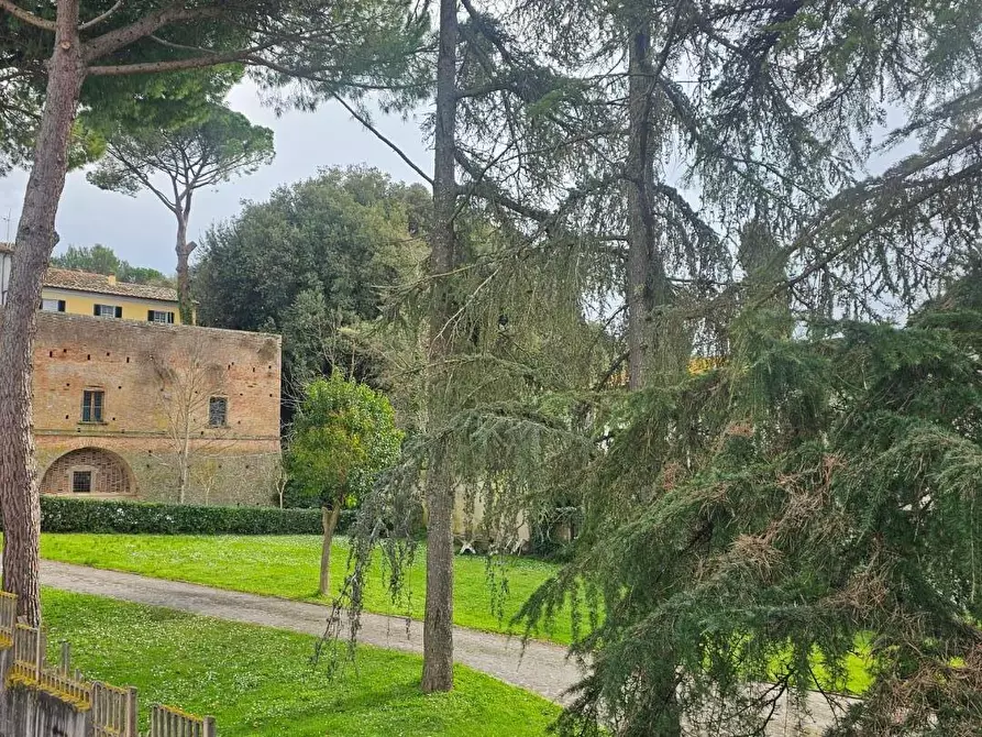 Immagine 23 di Appartamento in affitto  a Crespina Lorenzana