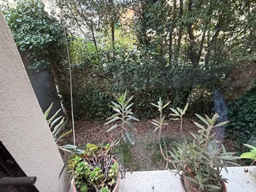 Immagine 14 di Appartamento in vendita  a Pisa