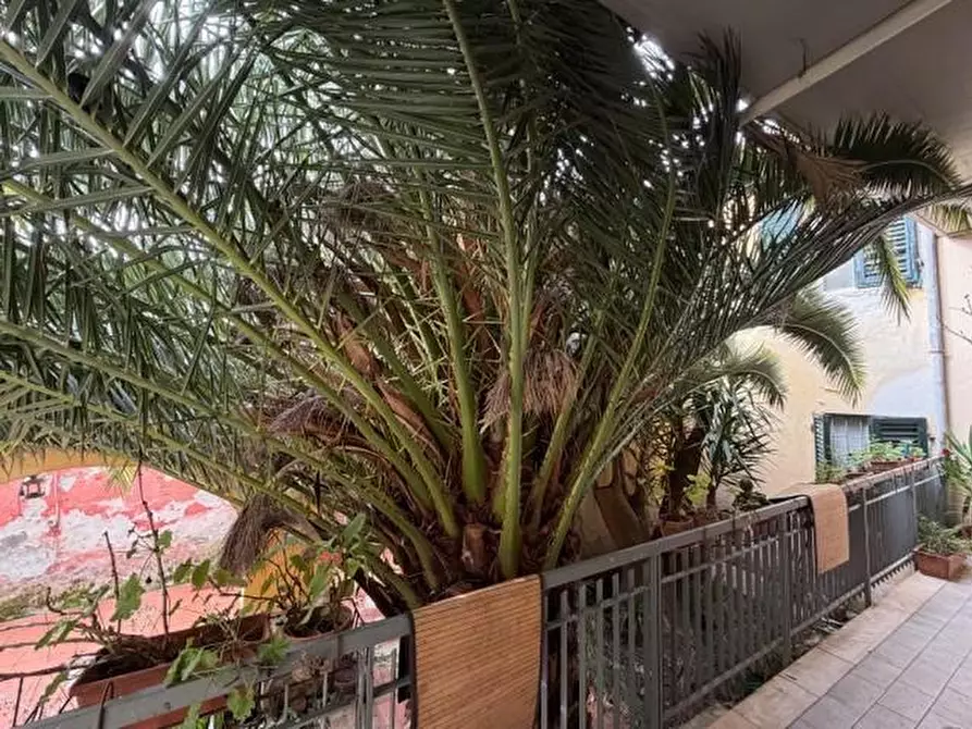 Immagine 25 di Appartamento in vendita  a Pisa