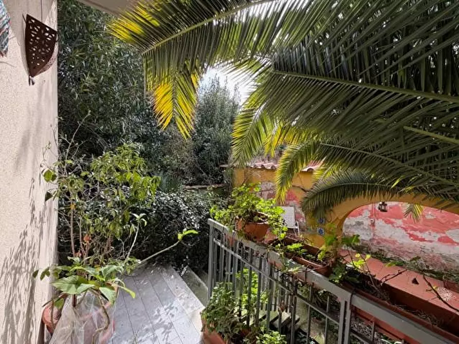 Immagine 17 di Appartamento in vendita  a Pisa