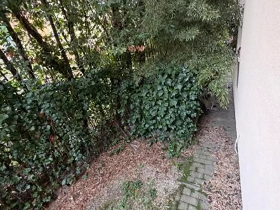 Immagine 30 di Appartamento in vendita  a Pisa