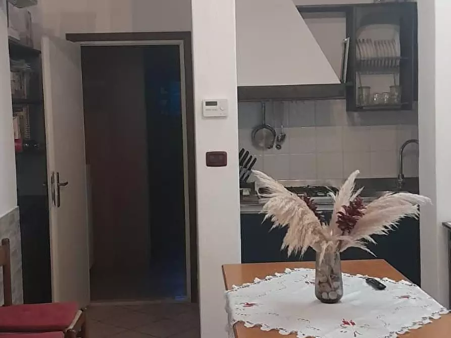 Immagine 4 di Appartamento in vendita  a San Giuliano Terme