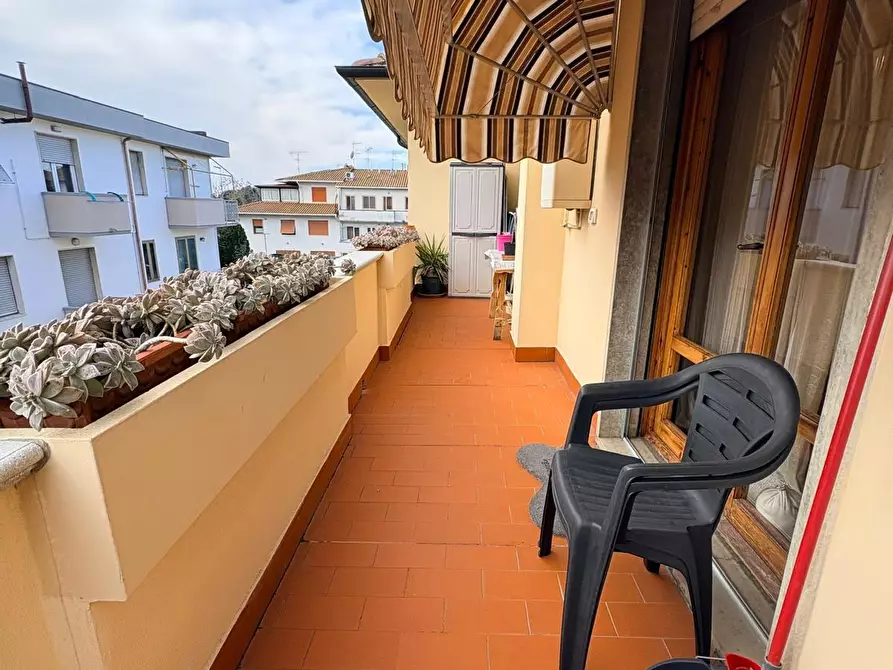 Immagine 17 di Appartamento in vendita  a Cecina