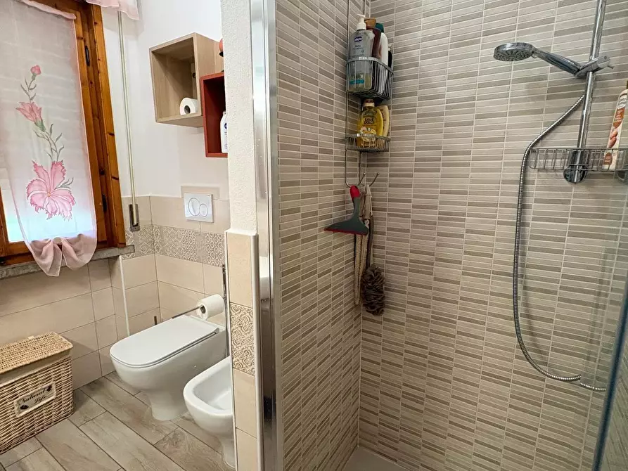 Immagine 24 di Appartamento in vendita  a Cecina