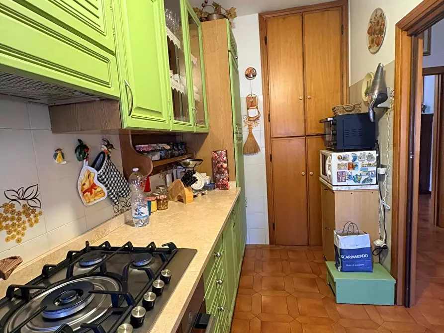 Immagine 9 di Appartamento in vendita  a Cecina