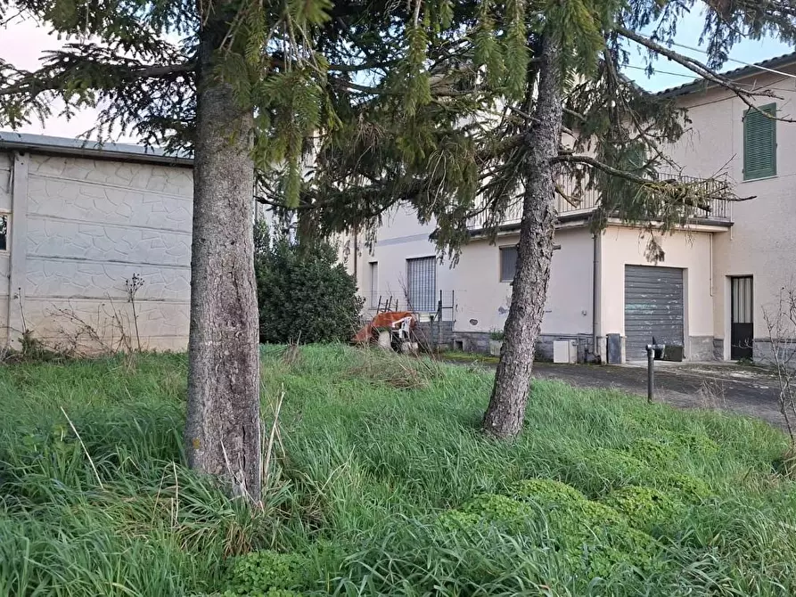 Immagine 3 di Terratetto in vendita  a San Miniato