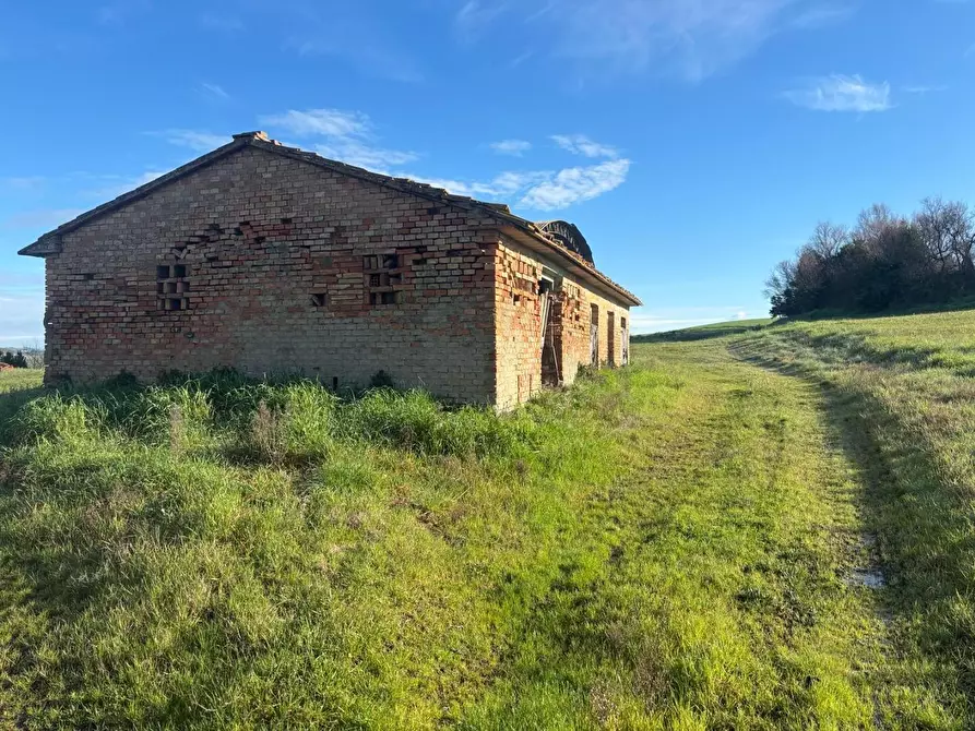 Immagine 4 di Casa colonica in vendita  a Volterra