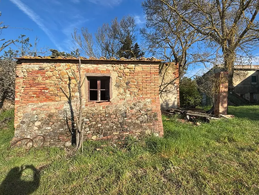 Immagine 11 di Casa colonica in vendita  a Volterra