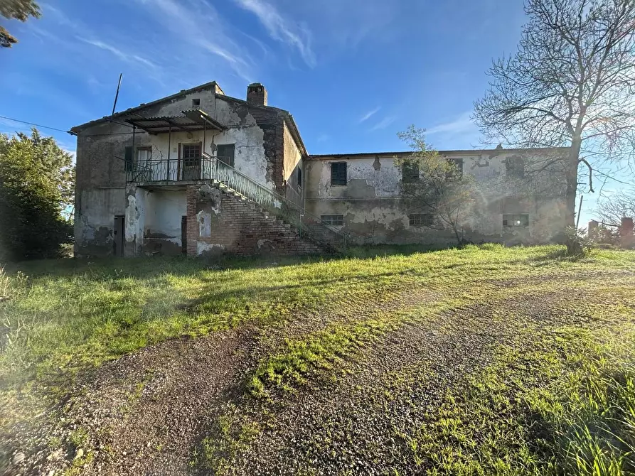 Immagine 12 di Casa colonica in vendita  a Volterra