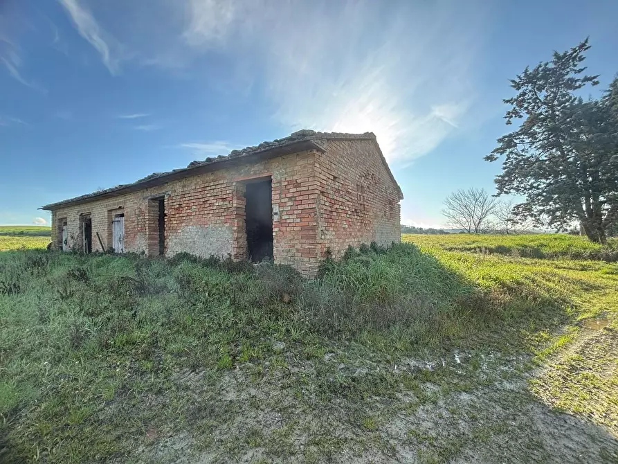 Immagine 5 di Casa colonica in vendita  a Volterra