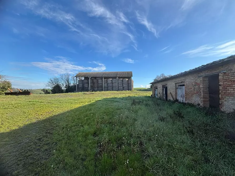 Immagine 6 di Casa colonica in vendita  a Volterra