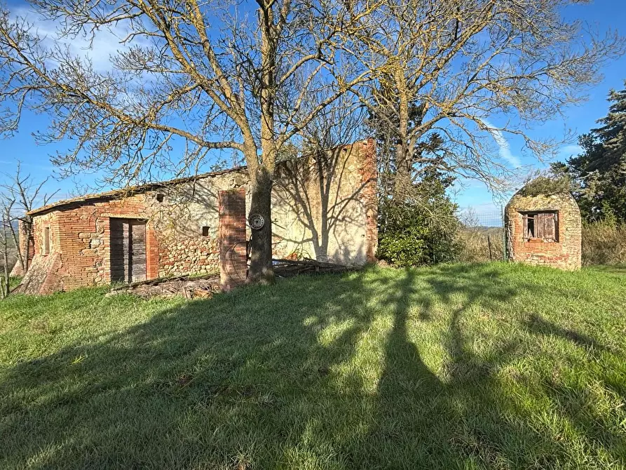 Immagine 10 di Casa colonica in vendita  a Volterra