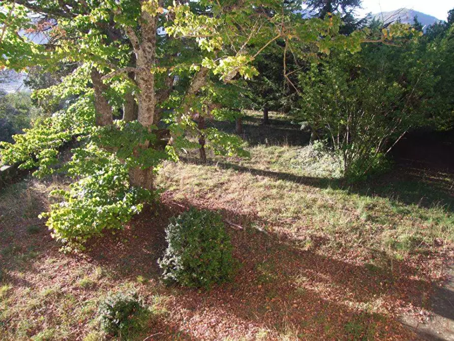 Immagine 26 di Villa in vendita  a Rufina