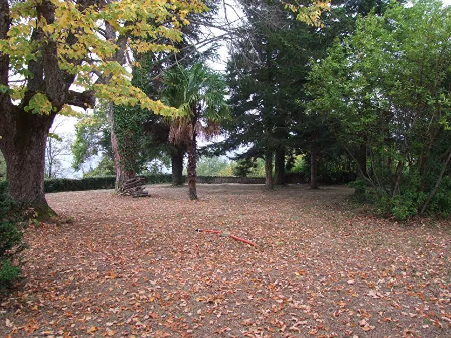 Immagine 27 di Villa in vendita  a Rufina