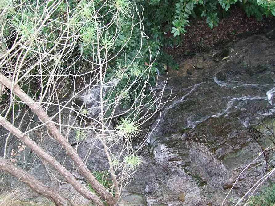 Immagine 28 di Villa in vendita  a Rufina