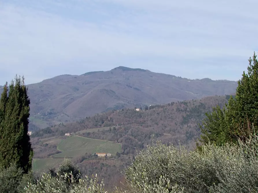 Immagine 30 di Villa in vendita  a Rufina