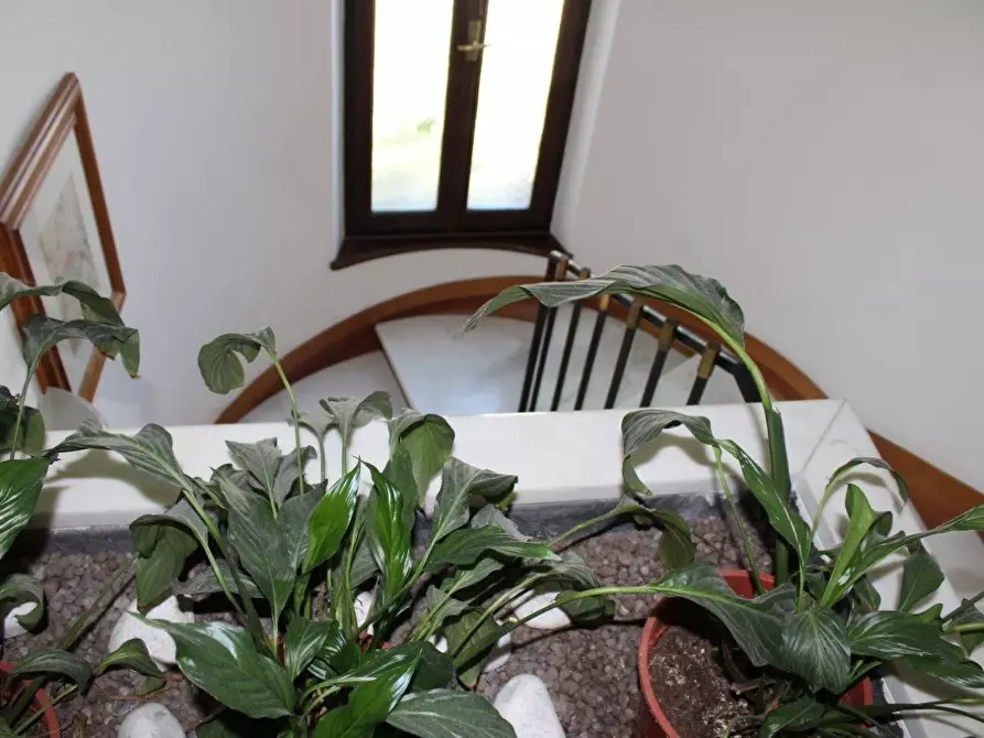 Immagine 12 di Casa bifamiliare in vendita  a Carrara