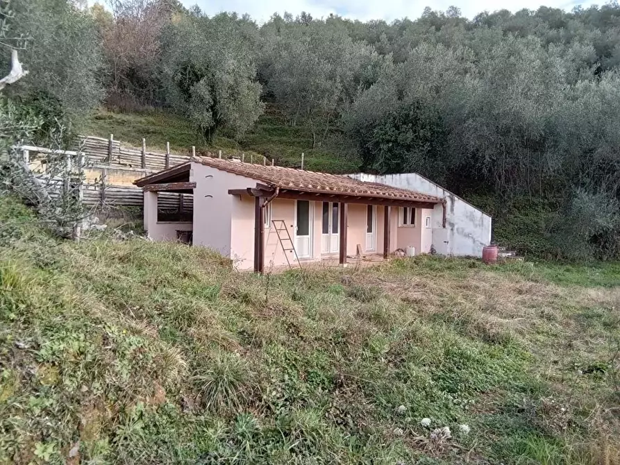 Immagine 28 di Rustico / casale in vendita  a Camaiore