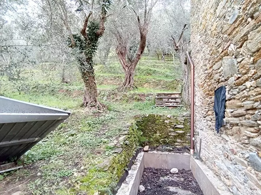 Immagine 7 di Rustico / casale in vendita  a Camaiore