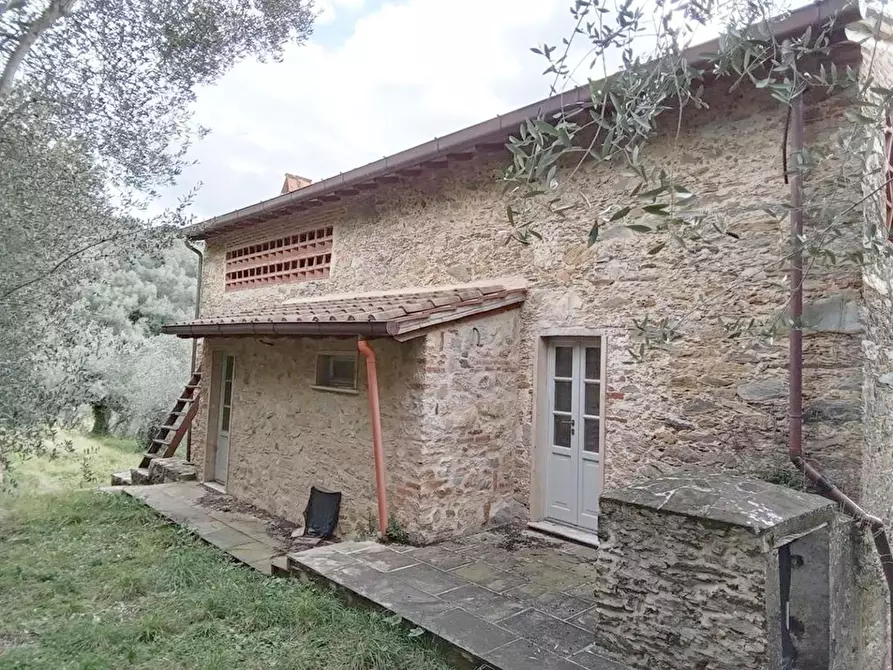 Immagine 4 di Rustico / casale in vendita  a Camaiore