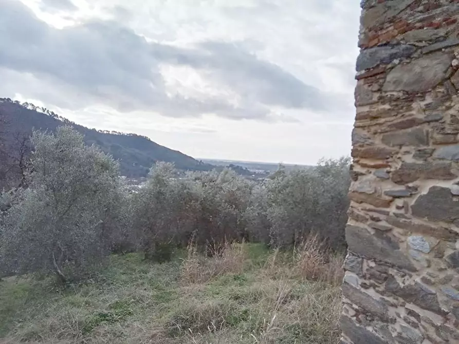 Immagine 8 di Rustico / casale in vendita  a Camaiore