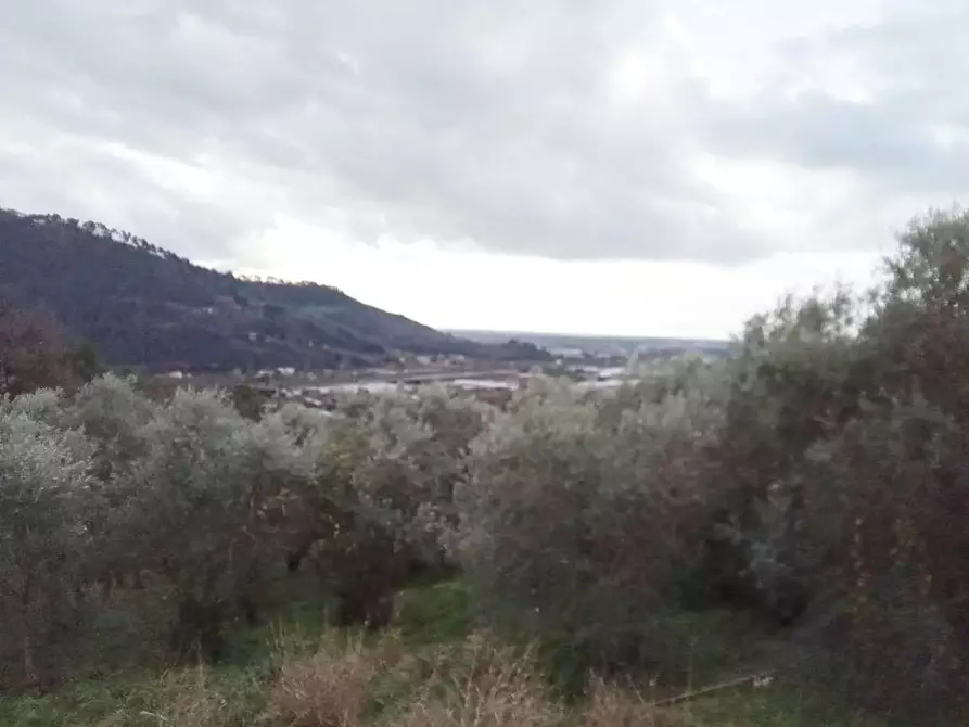 Immagine 30 di Rustico / casale in vendita  a Camaiore