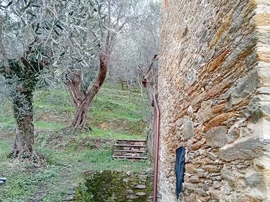 Immagine 6 di Rustico / casale in vendita  a Camaiore