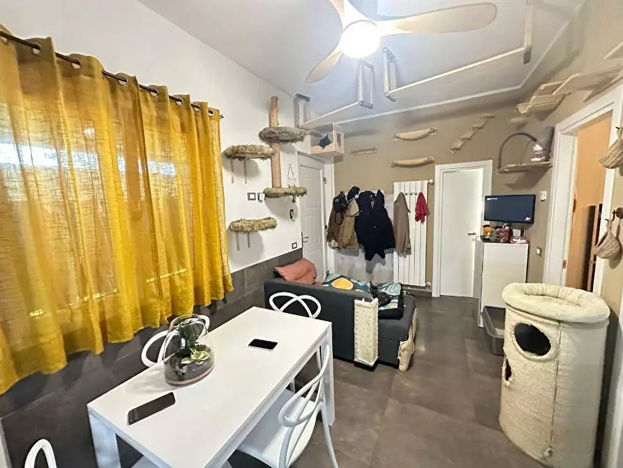 Immagine 4 di Appartamento in vendita  a Carrara