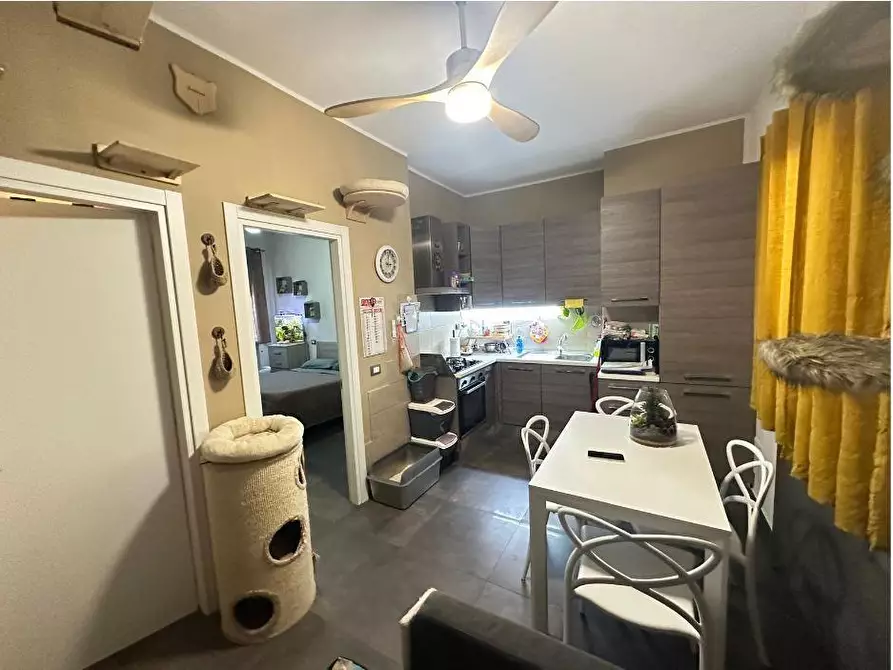 Immagine 1 di Appartamento in vendita  a Carrara