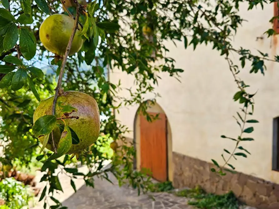 Immagine 33 di Villa in vendita  a Capannori