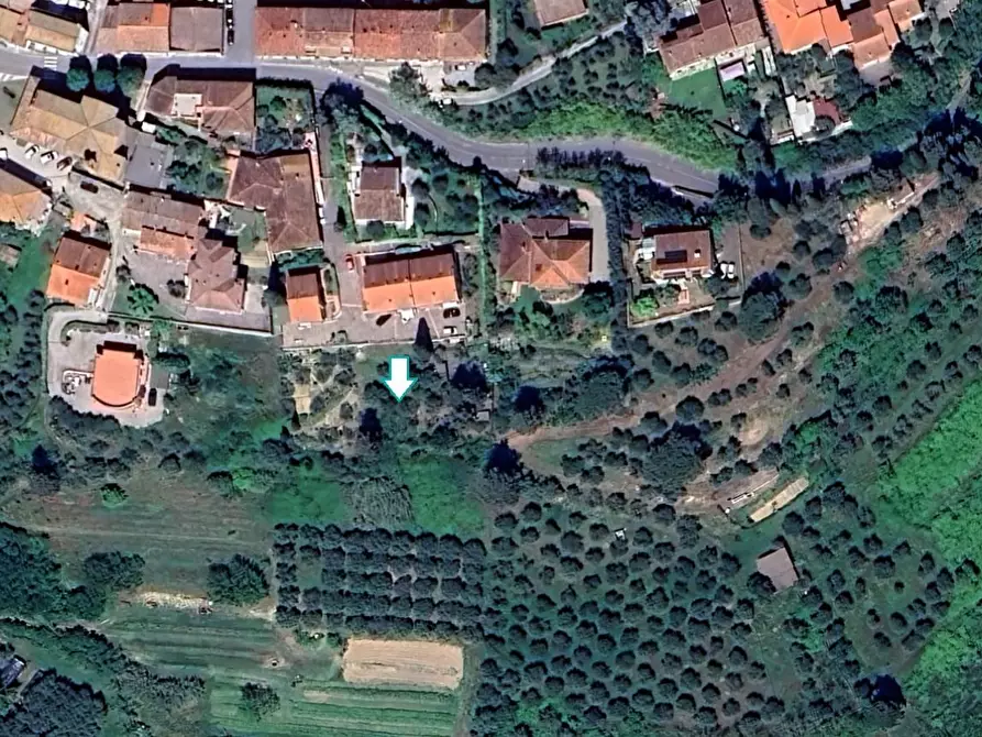 Immagine 1 di Terreno agricolo in vendita  a Peccioli