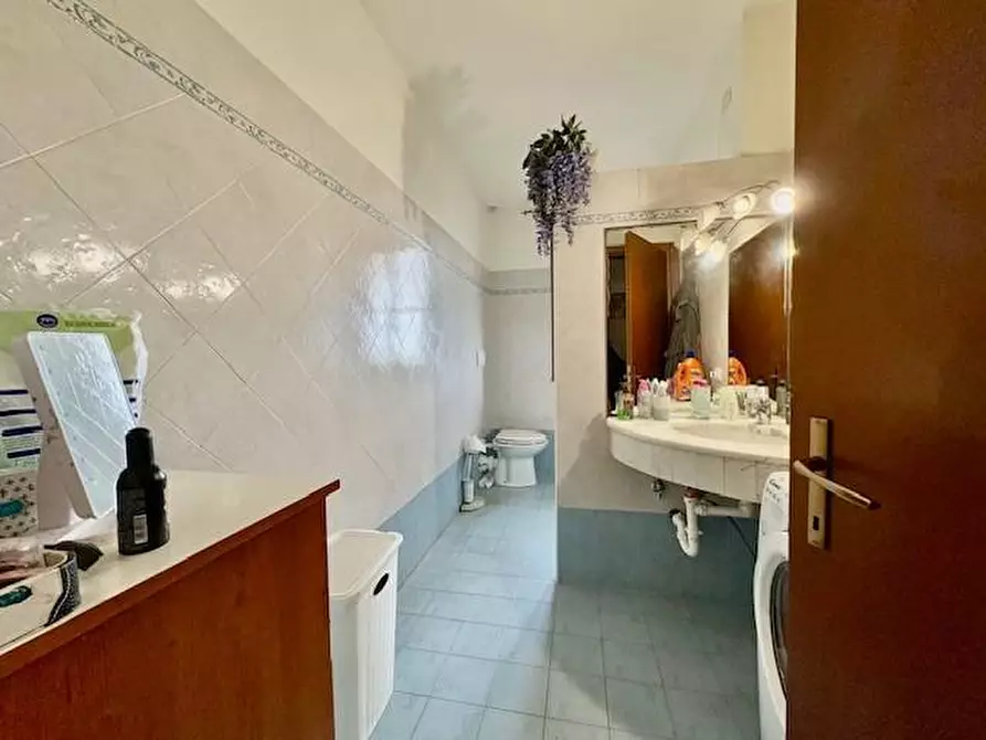 Immagine 20 di Appartamento in vendita  a Terricciola