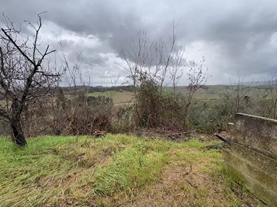 Immagine 29 di Appartamento in vendita  a Terricciola