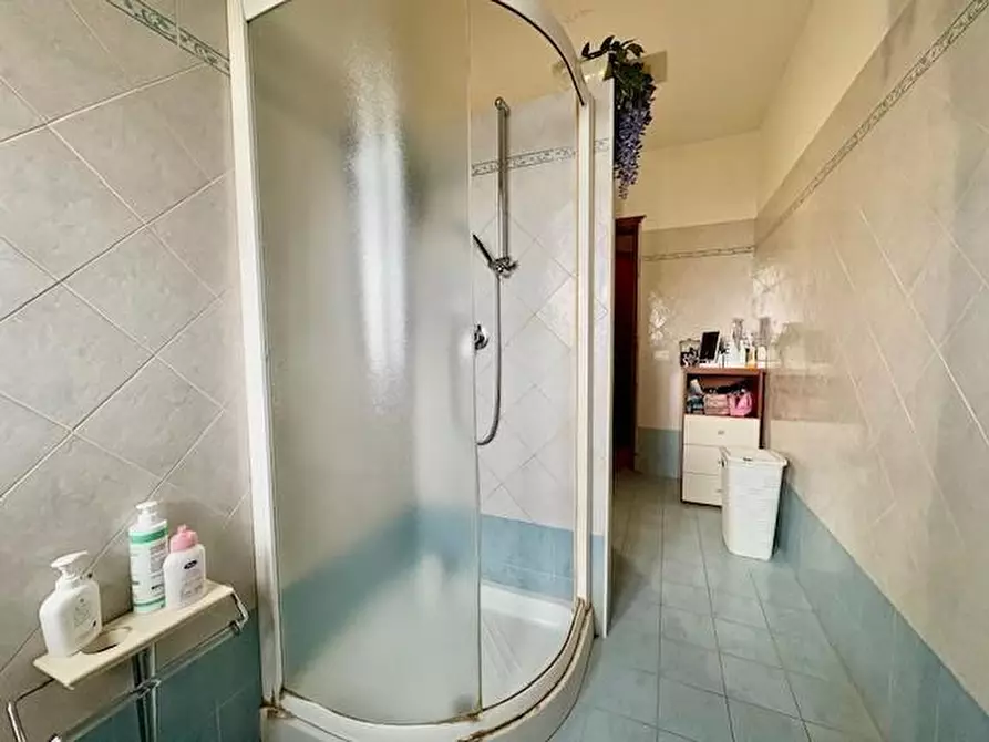 Immagine 18 di Appartamento in vendita  a Terricciola