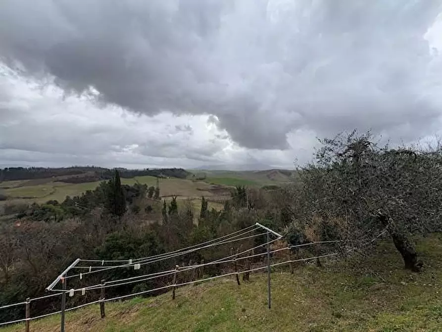 Immagine 27 di Appartamento in vendita  a Terricciola