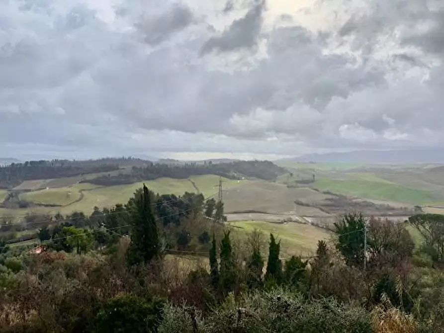 Immagine 5 di Appartamento in vendita  a Terricciola