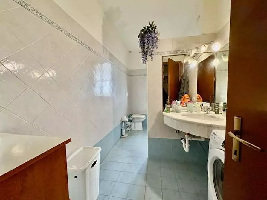 Immagine 19 di Appartamento in vendita  a Terricciola