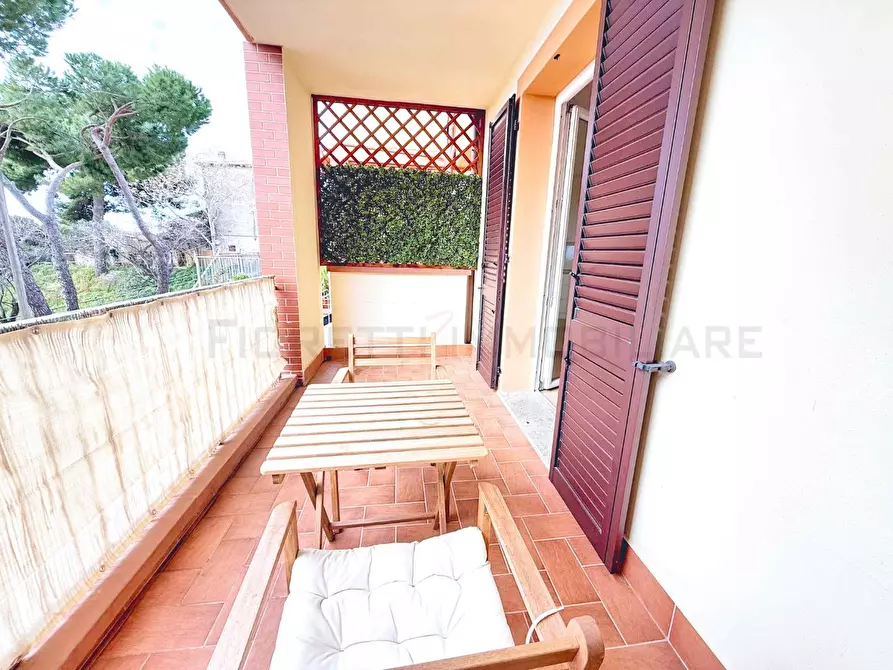 Immagine 13 di Appartamento in vendita  a Piombino