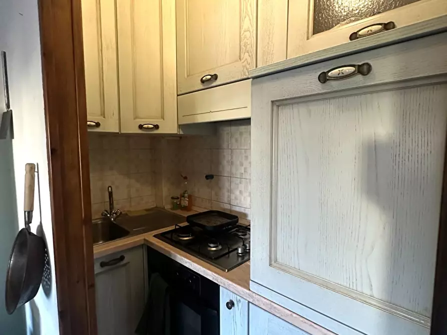 Immagine 24 di Appartamento in vendita  a Vicopisano